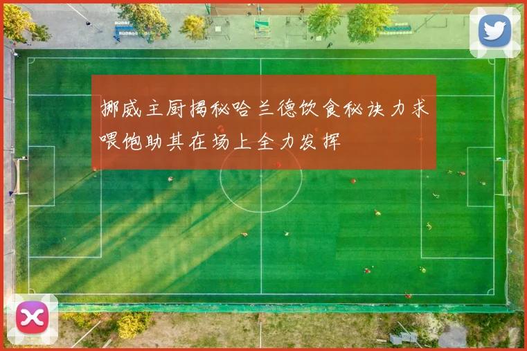 挪威主厨揭秘哈兰德饮食秘诀力求喂饱助其在场上全力发挥